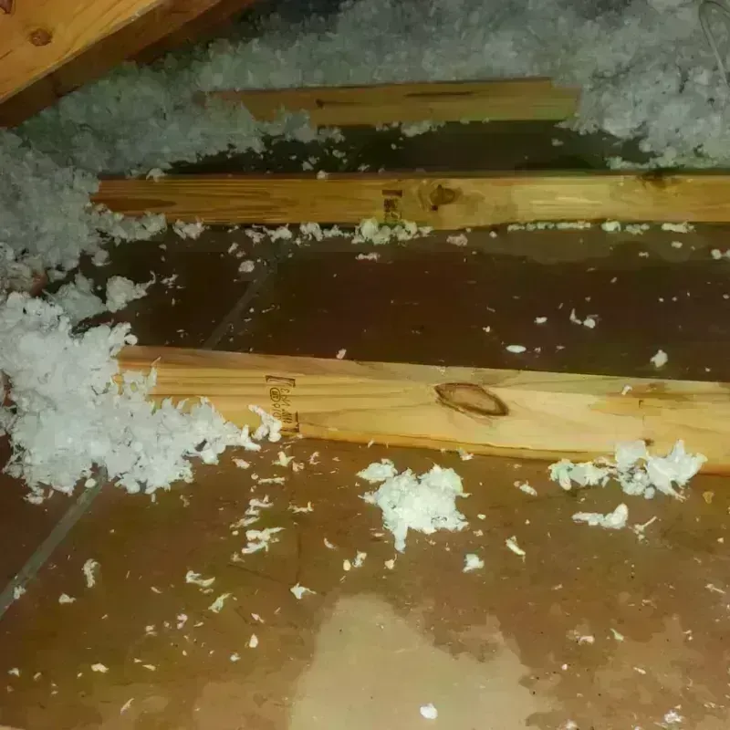 Attic Water Damage in Sparks, TX