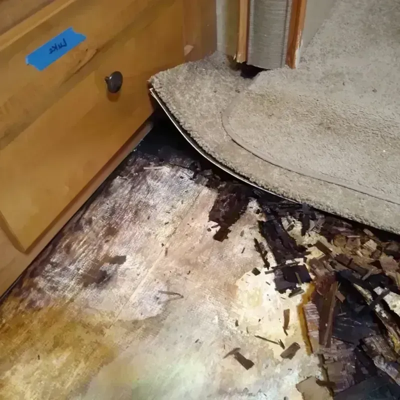 Wood Floor Water Damage in Sparks, TX